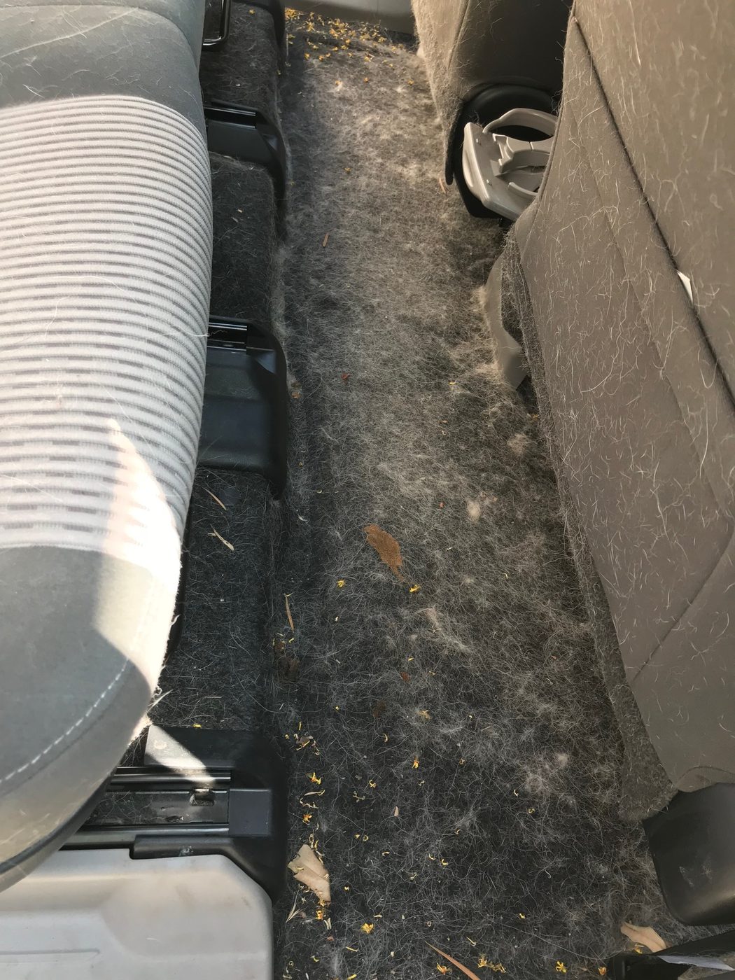Car interior carpet covered in pet hair, debris, and leaves before detail at Fair Oaks Car Wash